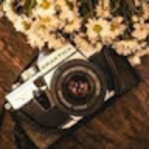 Meet your Posher, Ava